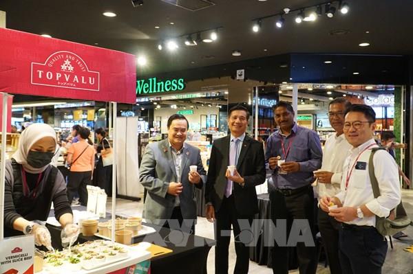 Việt Nam - Malaysia: Thúc đẩy hợp tác chiến lược toàn diện và đi vào chiều sâu